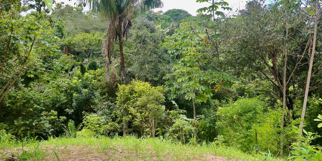 Eco-Village Homesites in San Isidro — photo