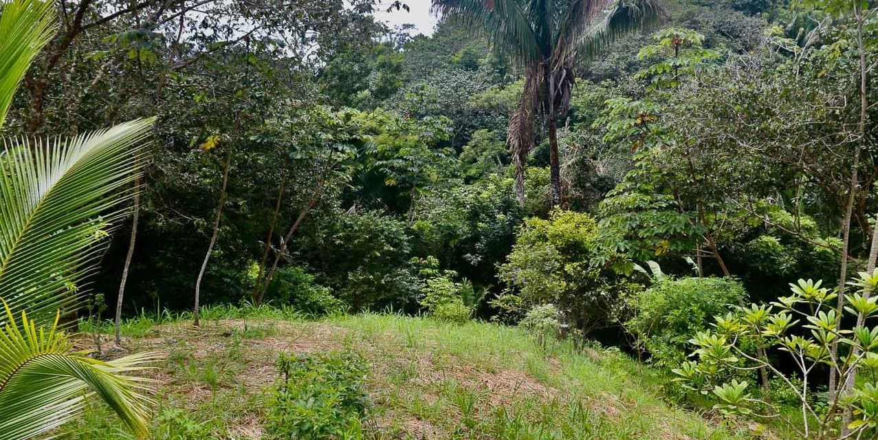 Eco-Village Homesites in San Isidro — photo