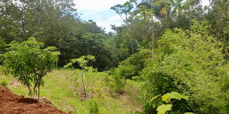 Eco-Village Homesites in San Isidro