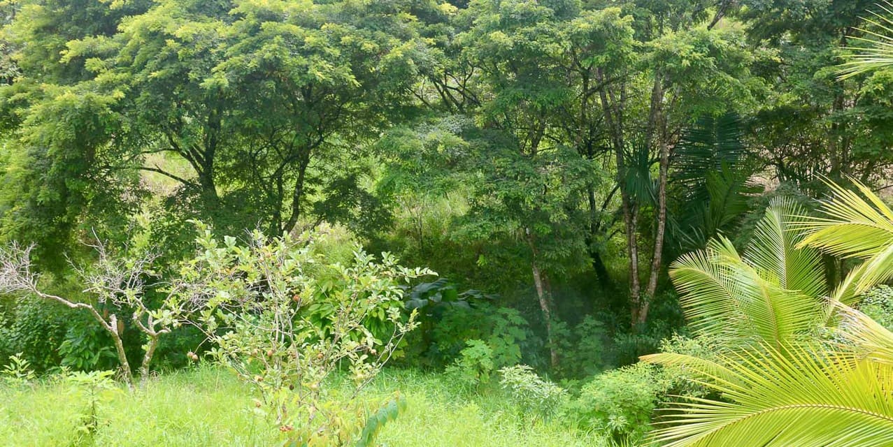 Eco-Village Homesites in San Isidro — photo