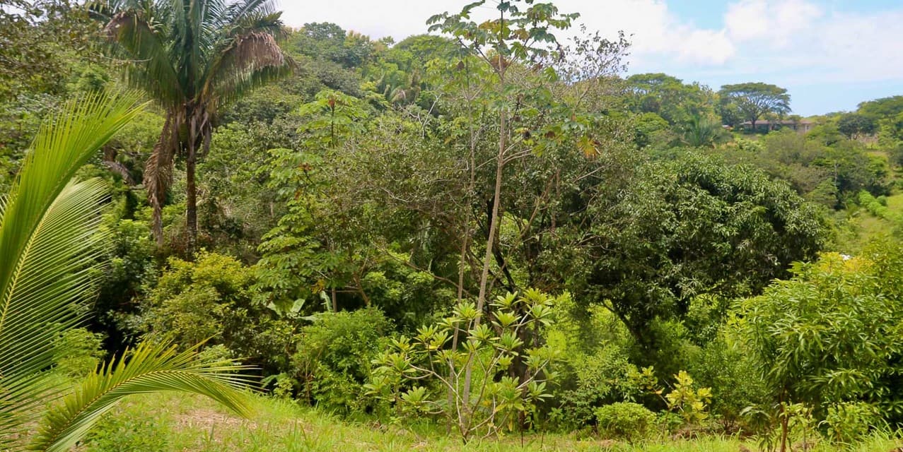 Eco-Village Homesites in San Isidro — photo