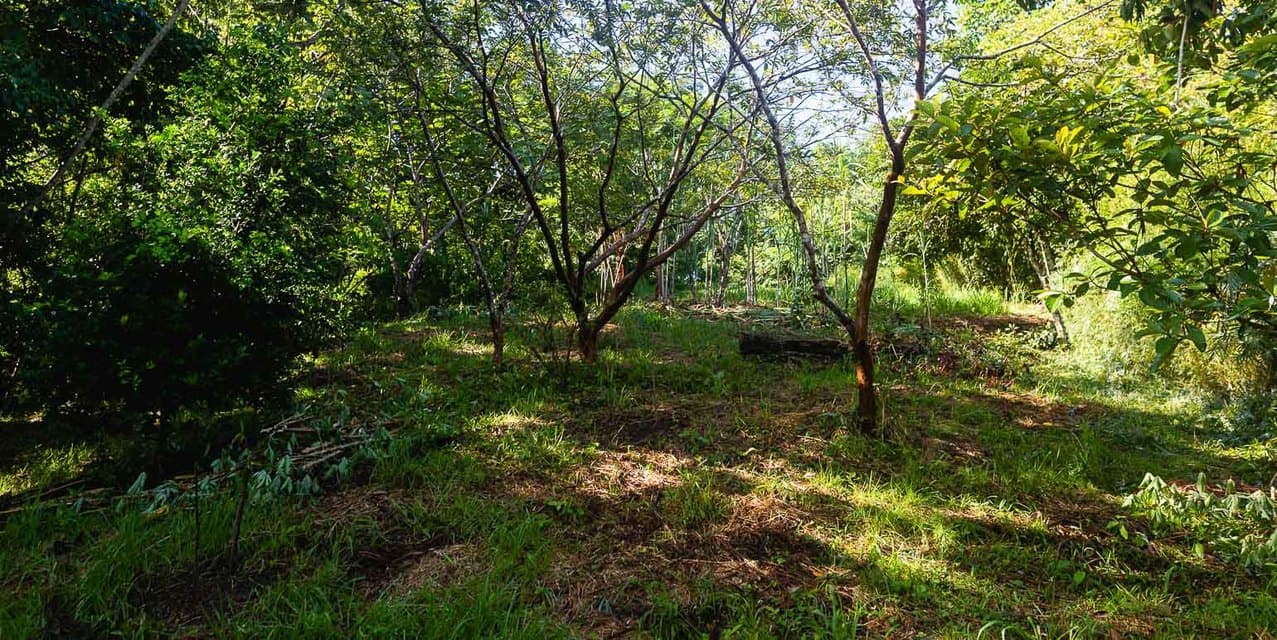 Nature-Focused Eco Residential Lots in Santiago — photo
