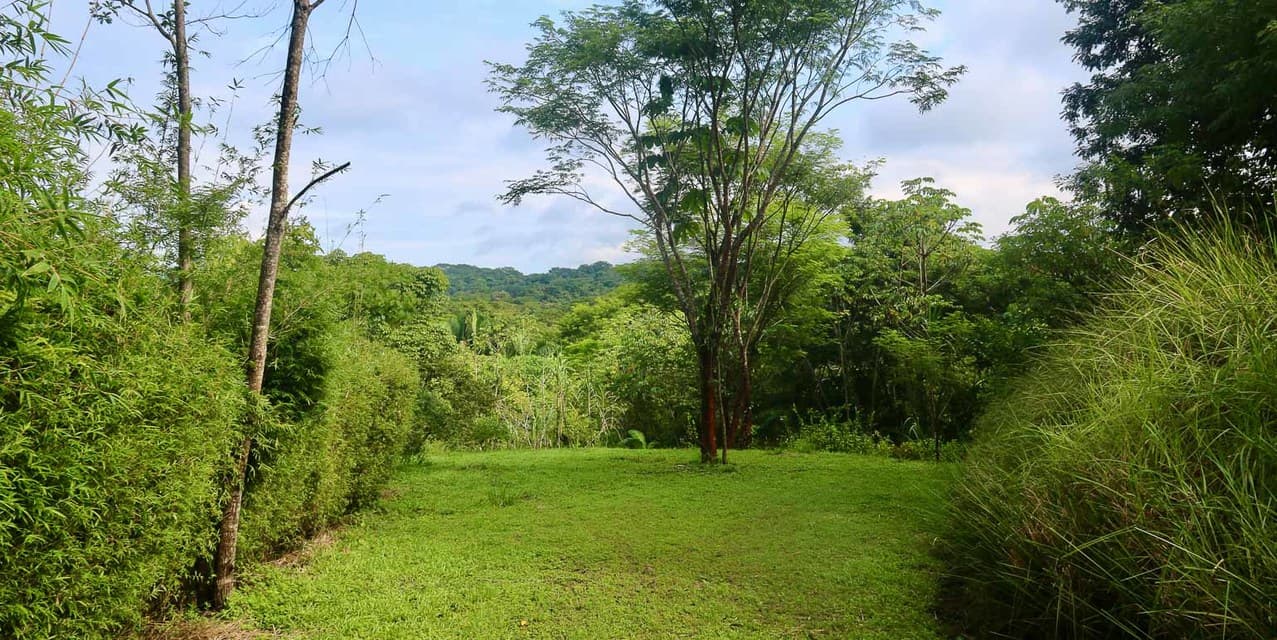 Nature-Focused Eco Residential Lots in Santiago — photo