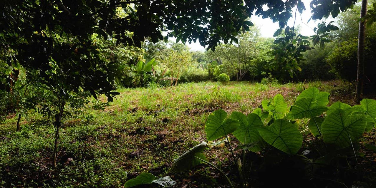 Nature-Focused Eco Residential Lots in Santiago — photo