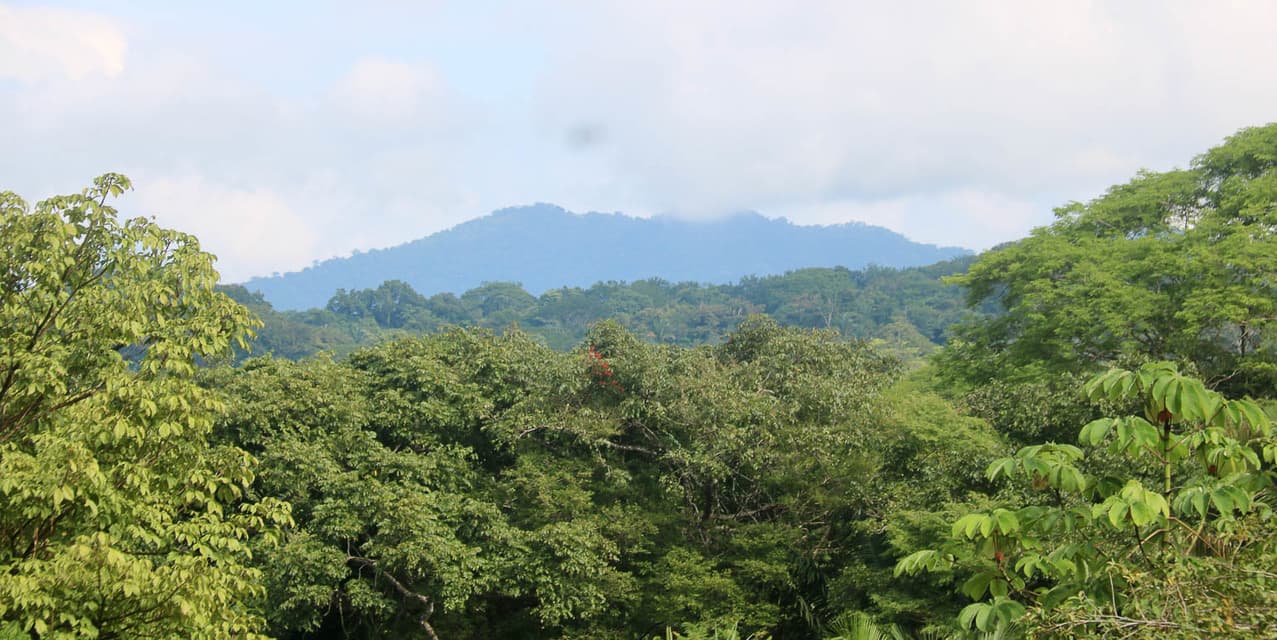 Nature-Focused Eco Residential Lots in Santiago — photo