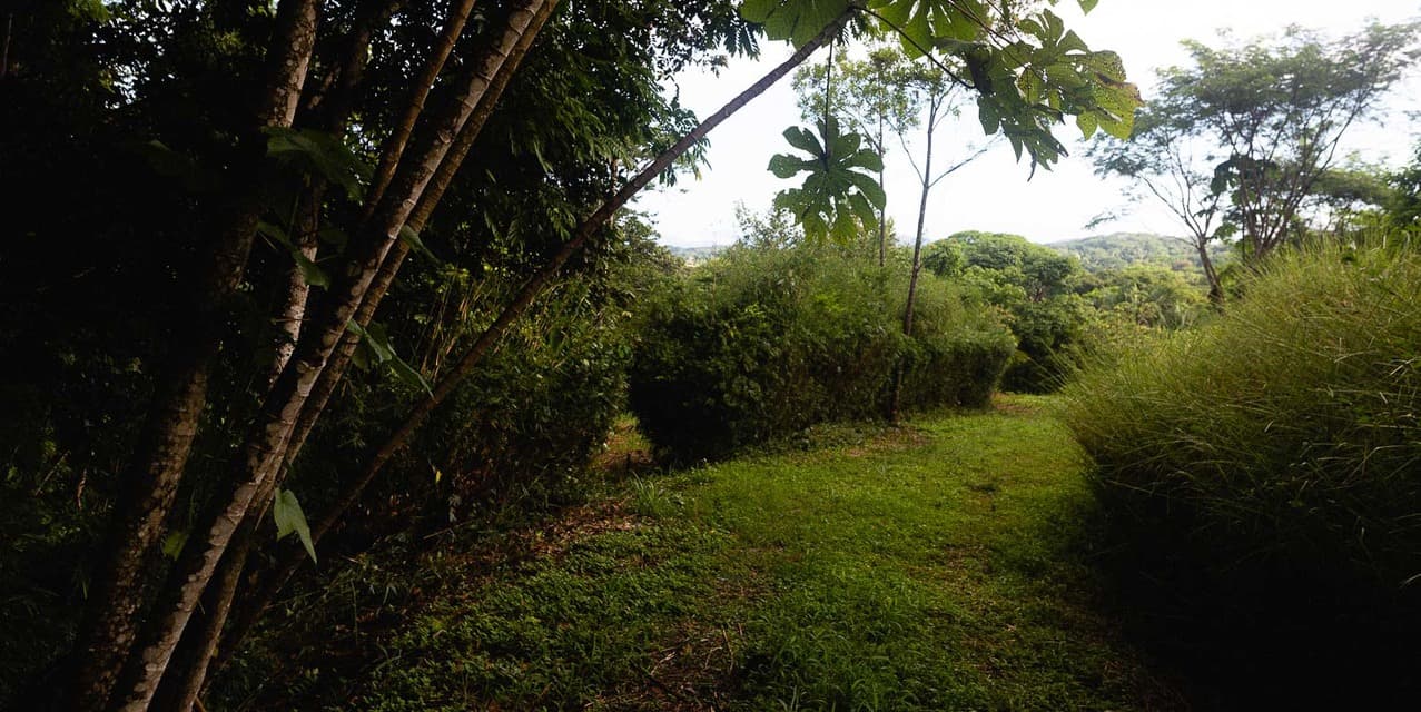 Nature-Focused Eco Residential Lots in Santiago — photo