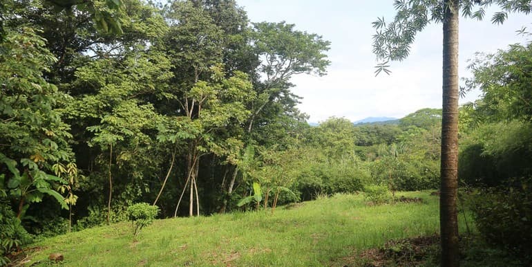 Nature-Focused Eco Residential Lots in Santiago