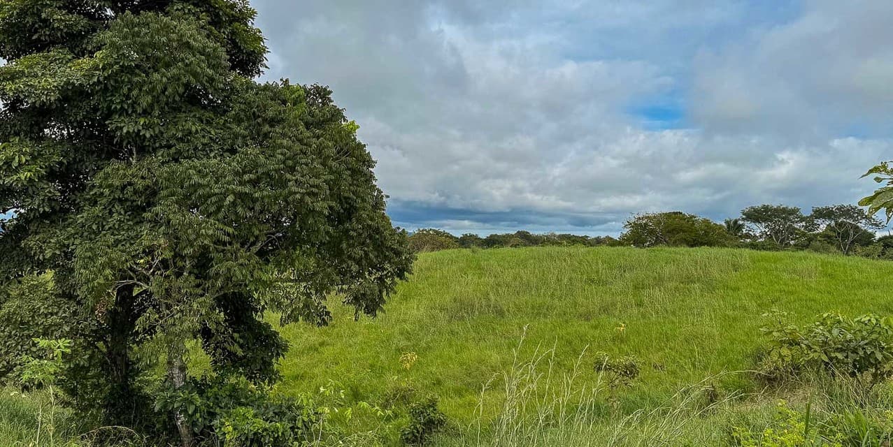 The Ark Ocean View Lot — photo