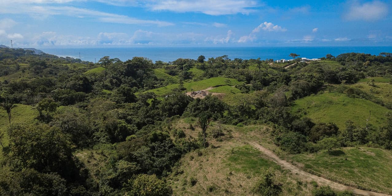 The Ark Ocean View Lot — photo