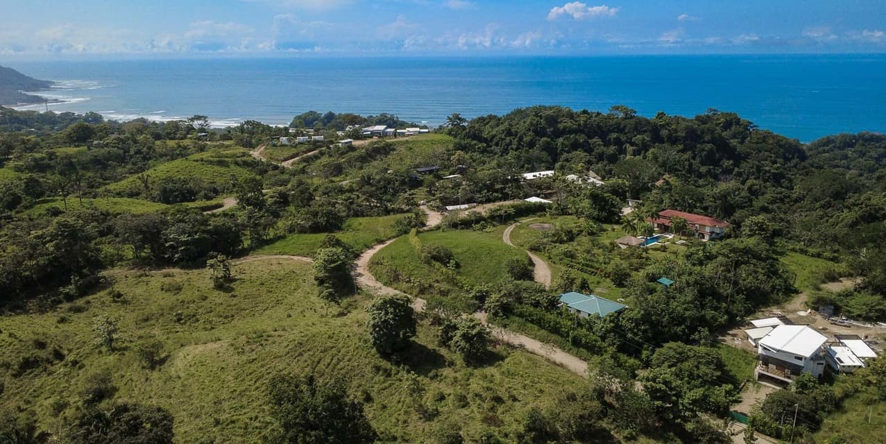 The Ark Jungle View Lot — photo