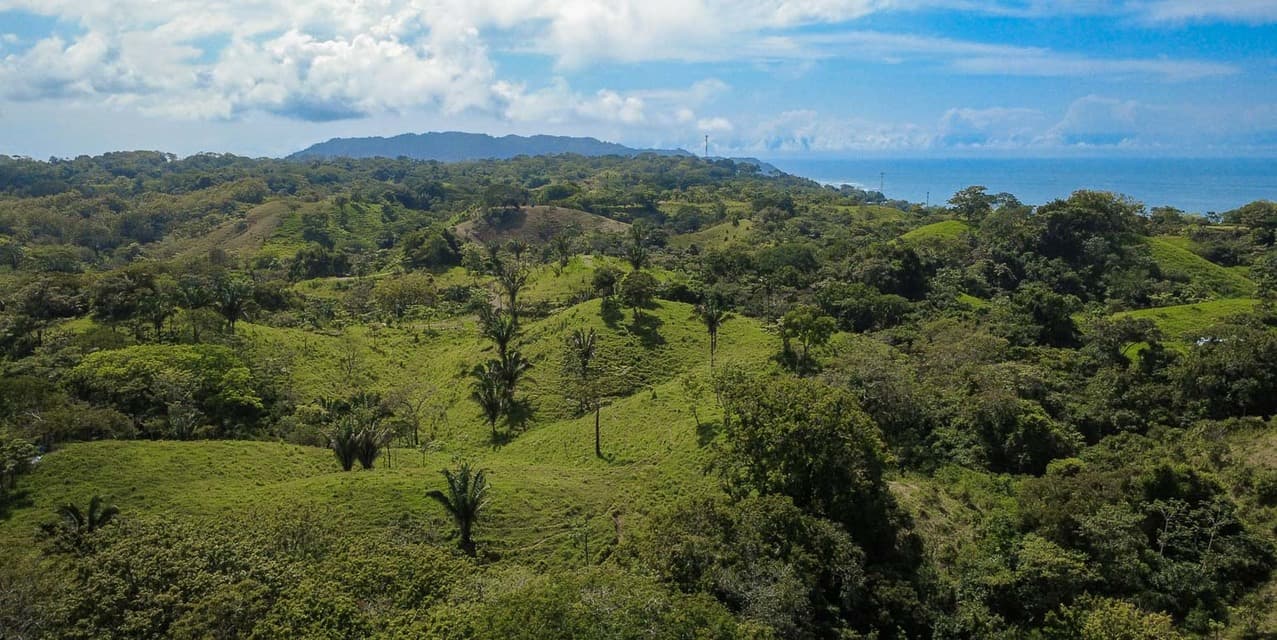 The Ark Jungle View Lot — photo