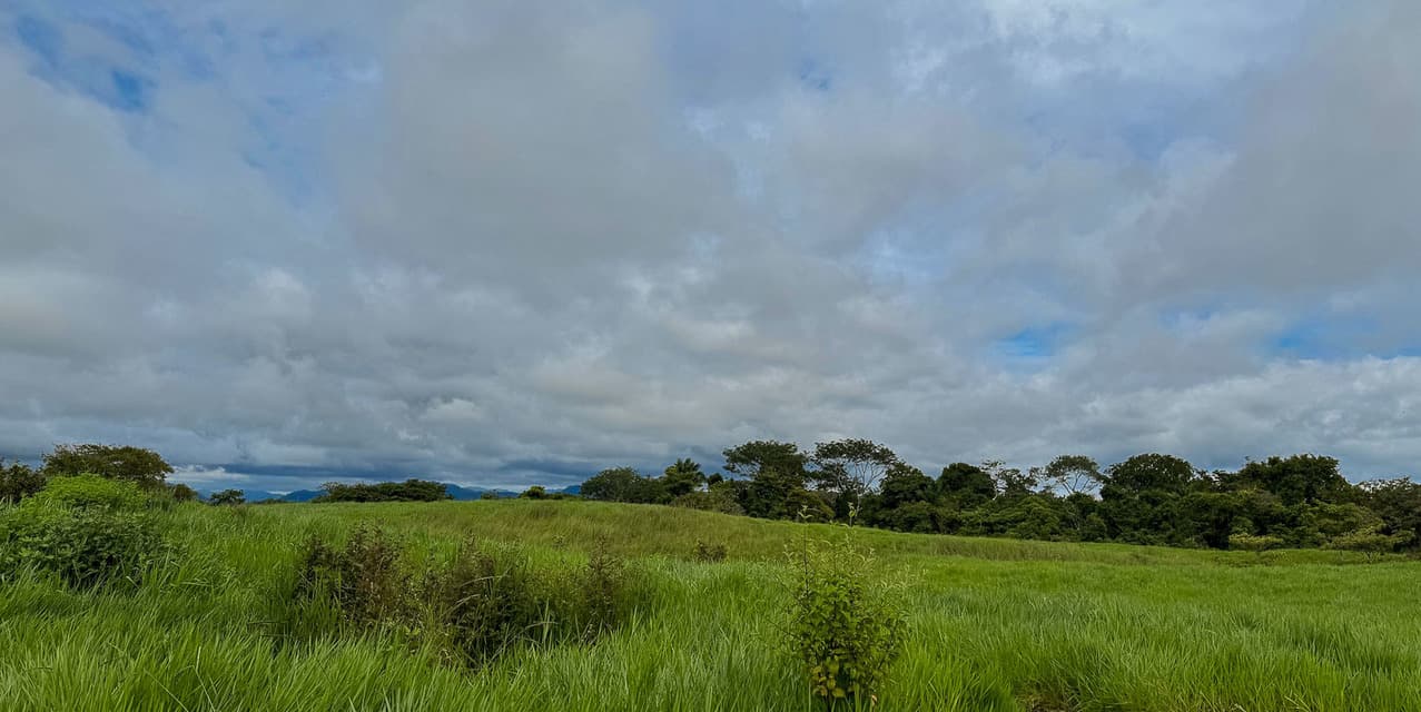 The Ark Jungle View Lot — photo