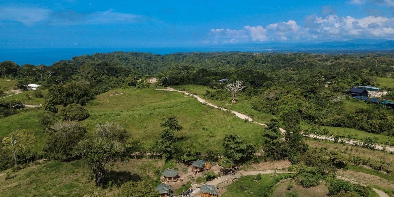 The Ark Jungle View Lot — photo