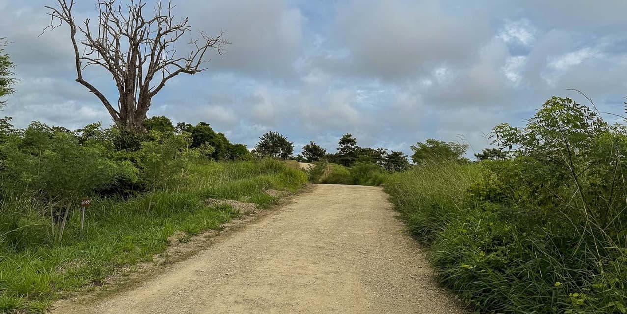 The Ark Jungle View Lot — photo