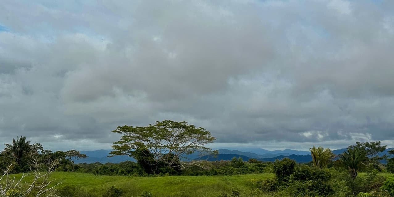 The Ark Mountain Views Lot — photo