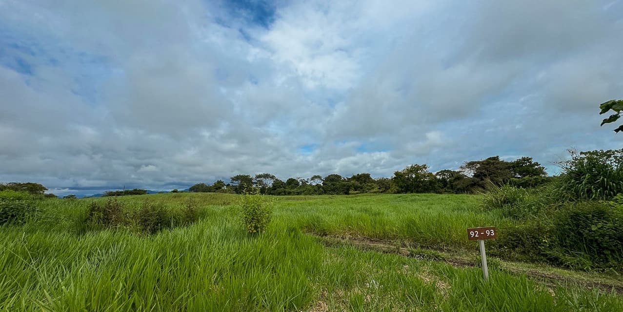 The Ark Mountain Views Lot — photo