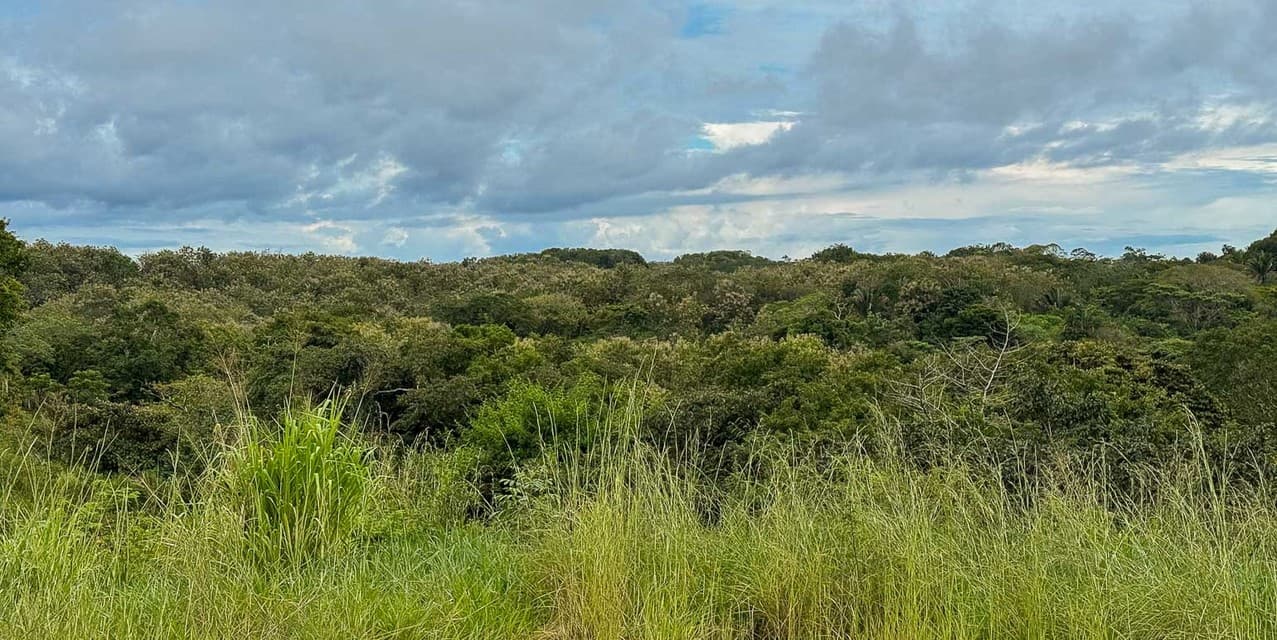 The Ark Mountain Views Lot — photo