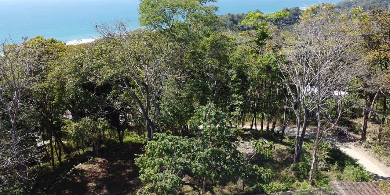 Ocean View Lot Near the Heart of Santa Teresa — photo