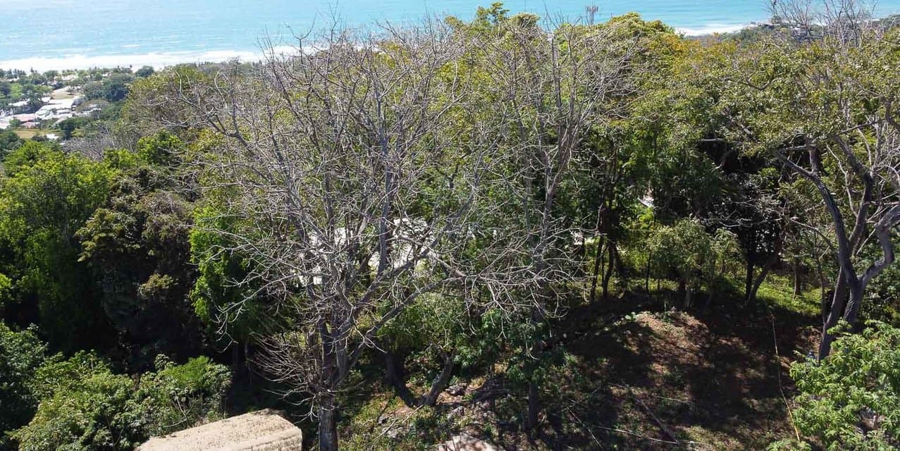 Ocean View Haven Lot in the Center of Santa Teresa — photo