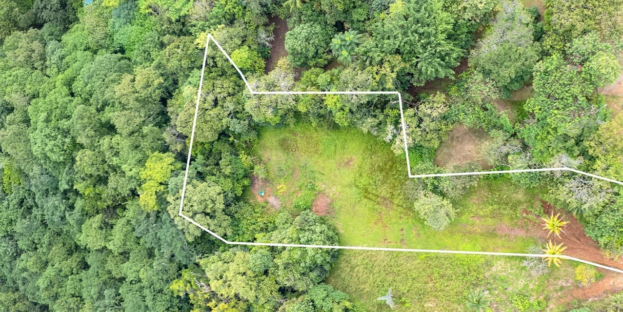 Build-Ready Commercial & Residential Land near Montezuma Beach — photo