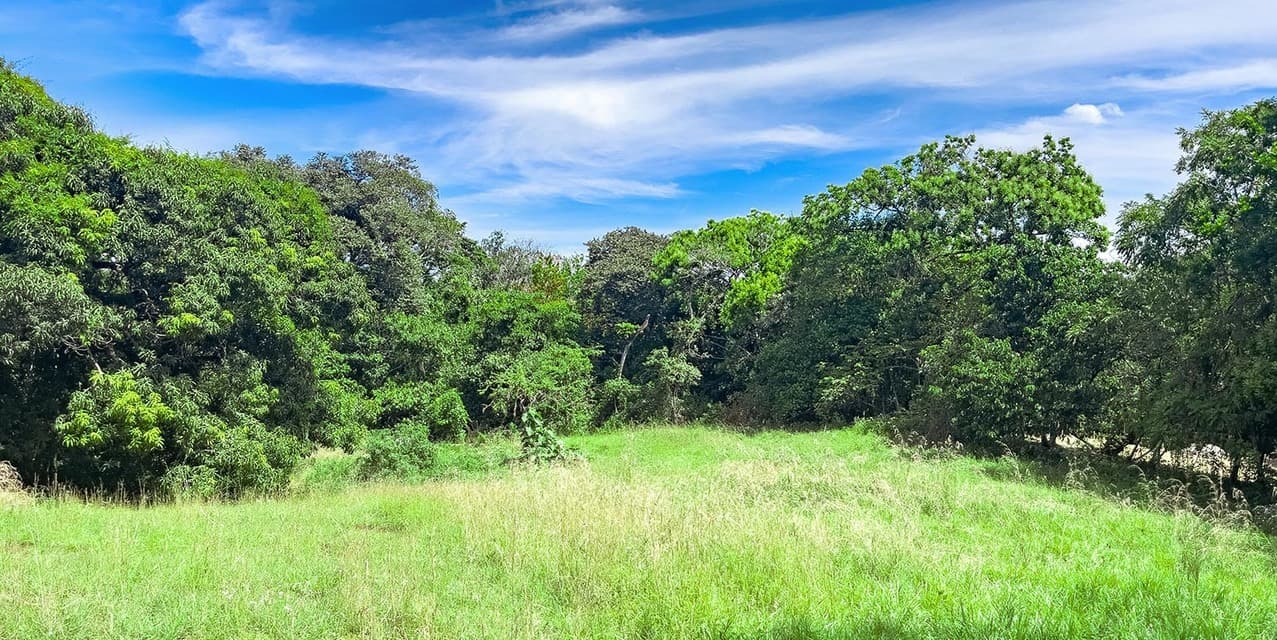 Build-Ready Commercial & Residential Land near Montezuma Beach — photo