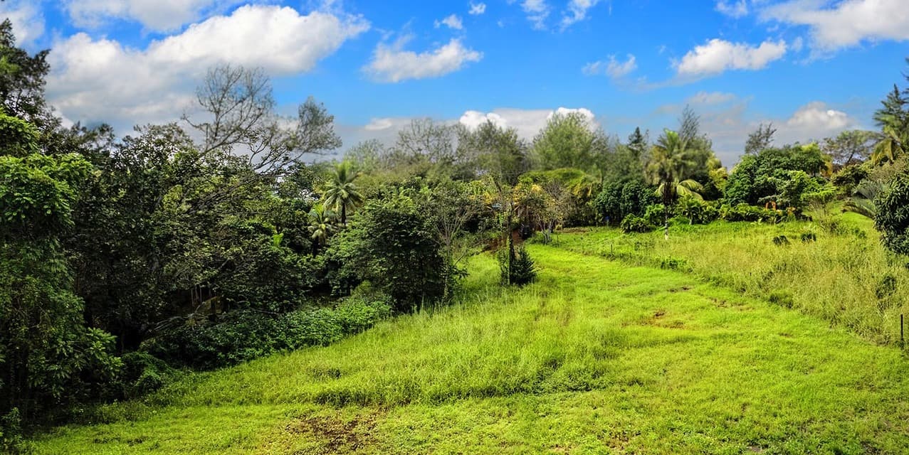 Build-Ready Commercial & Residential Land near Montezuma Beach — photo