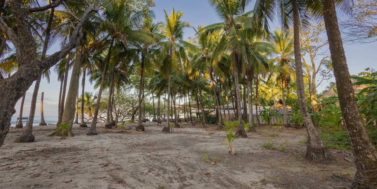 Exclusive Legacy Beachfront Parcel in Santa Teresa — photo