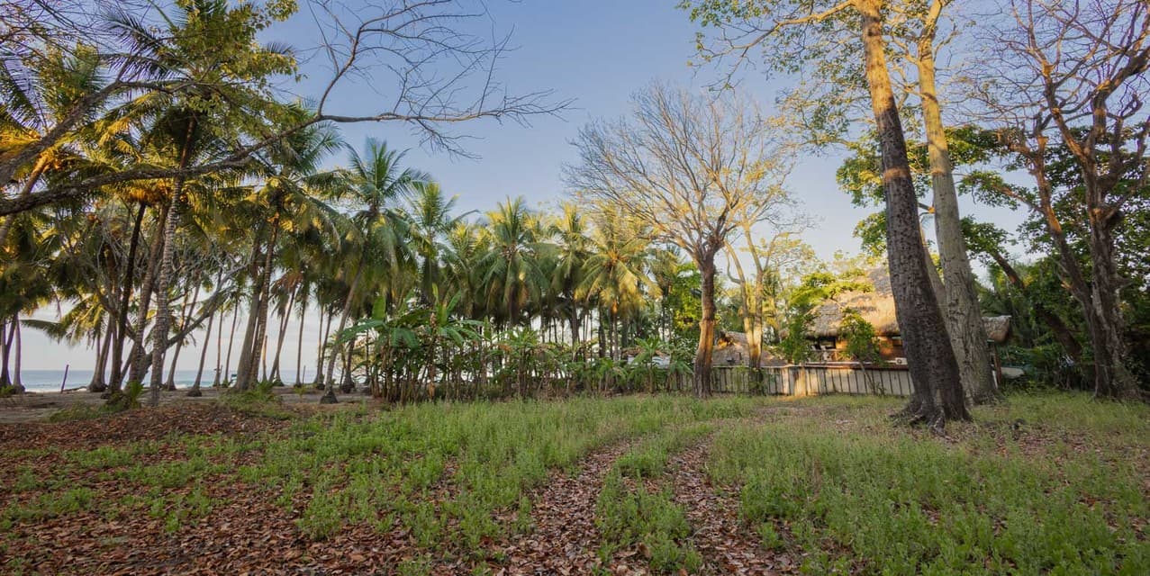 Exclusive Legacy Beachfront Parcel in Santa Teresa — photo