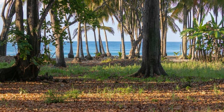Exclusive Legacy Beachfront Parcel in Santa Teresa