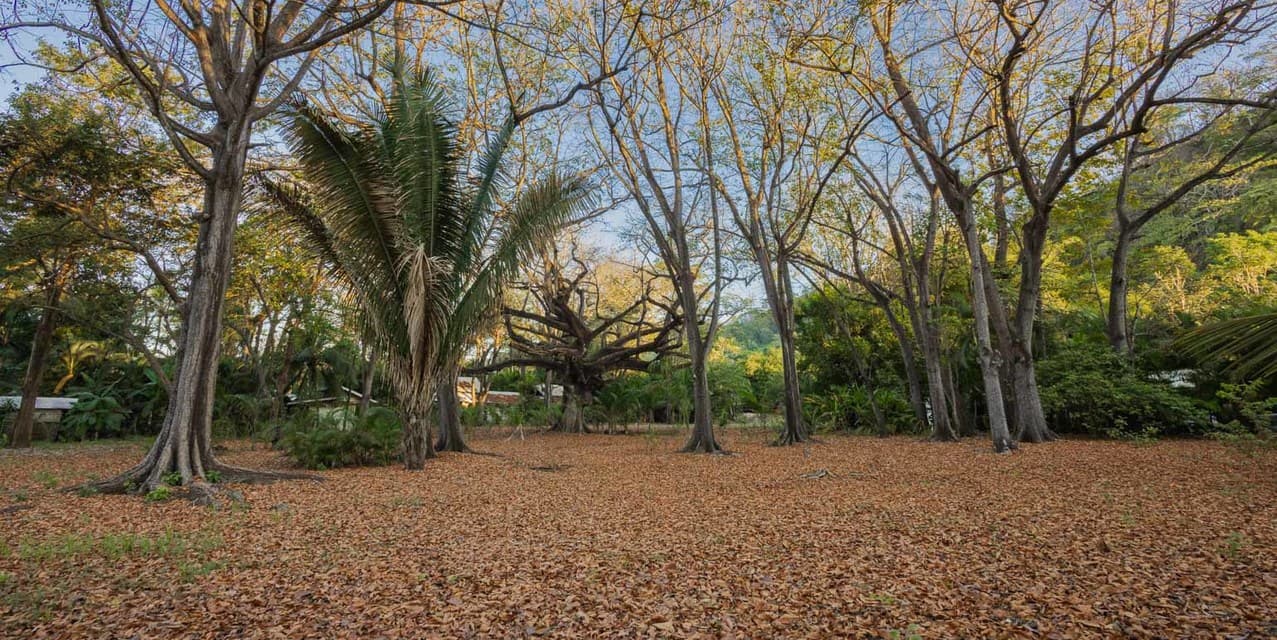 Exclusive Legacy Beachfront Parcel in Santa Teresa — photo