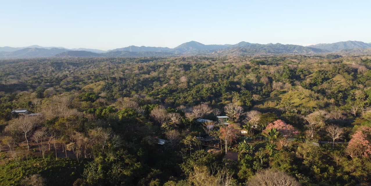Modern Santiago Jungle View Residence with Expansion Potential — photo