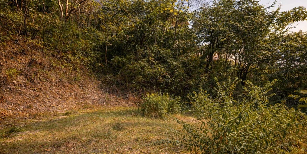Premium North Santa Teresa Lot — photo