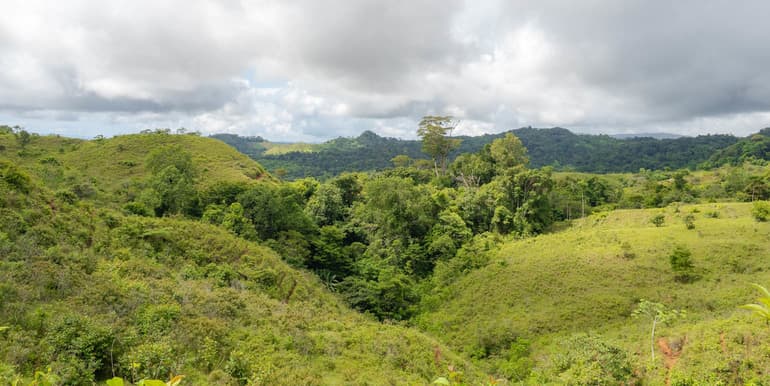 Prime Land in Osa