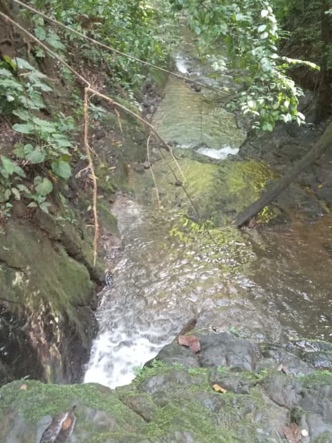 Terreno Único en Osa — photo