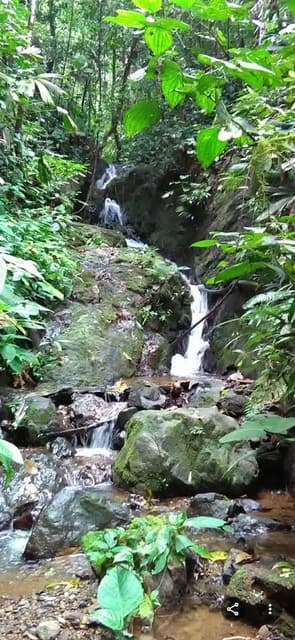 Terreno Único en Osa — photo
