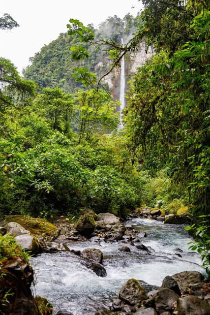 Bosque de Paz at Bajos del Toro — photo