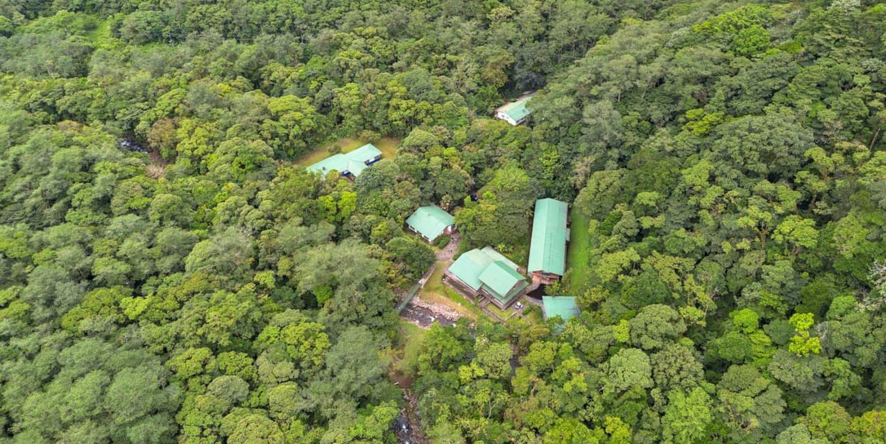 Bosque de Paz at Bajos del Toro — photo