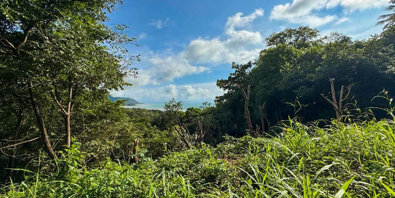 Terreno con Vista al Mar en Playa Carmen — photo