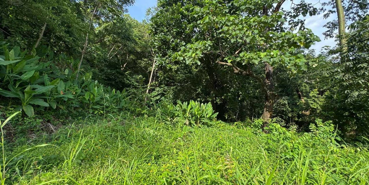 Terreno con Vista al Mar en Playa Carmen — photo