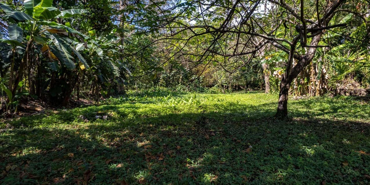 Prime 3-Hectare Development Land – 4 Minutes from the Beach — photo