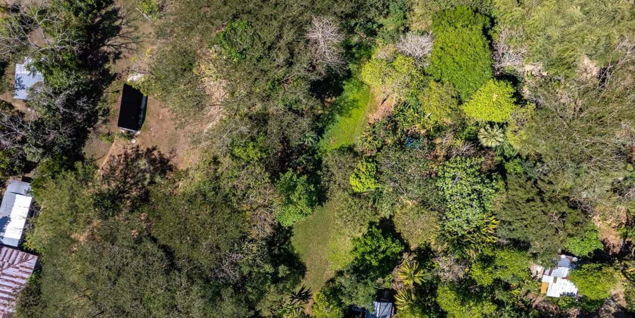 Prime 3-Hectare Development Land – 4 Minutes from the Beach — photo