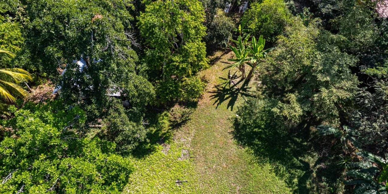 Prime 3-Hectare Development Land – 4 Minutes from the Beach — photo
