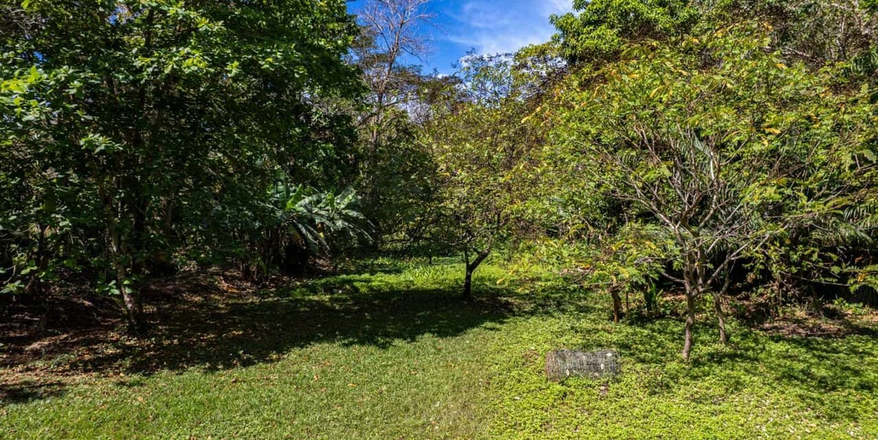 Prime 3-Hectare Development Land – 4 Minutes from the Beach — photo