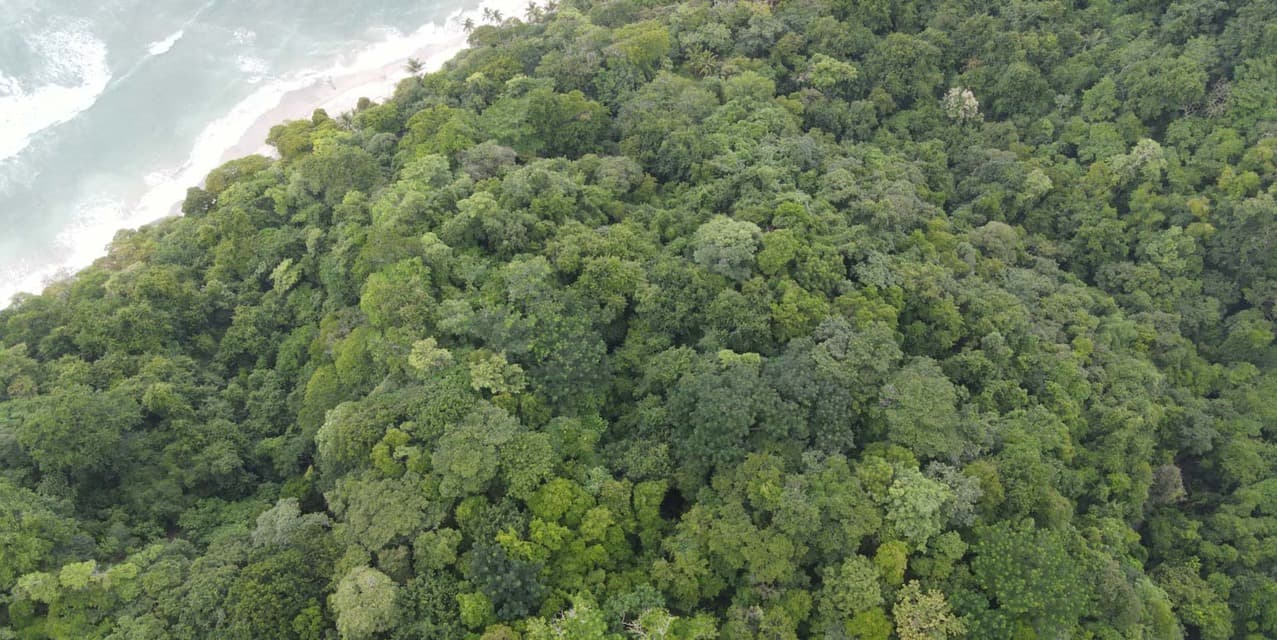 Exclusive Ocean View Lot on Avenida del Cielo — photo