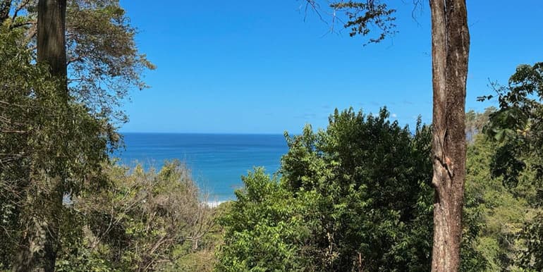 Exclusive Ocean View Lot on Avenida del Cielo