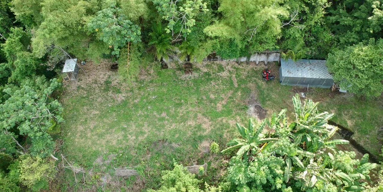 Signature Ocean & Jungle View Homesite in North Santa Teresa — photo