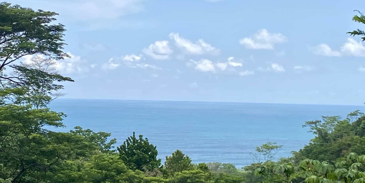 Signature Ocean & Jungle View Homesite in North Santa Teresa — photo