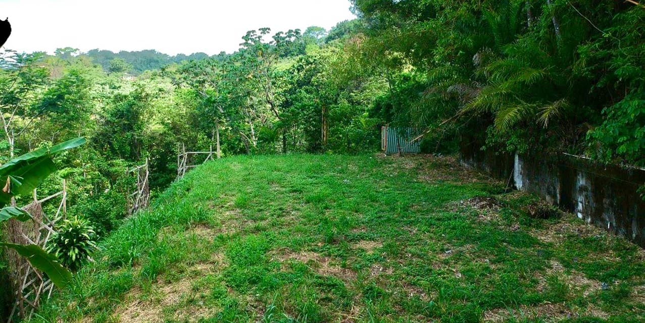Signature Ocean & Jungle View Homesite in North Santa Teresa — photo