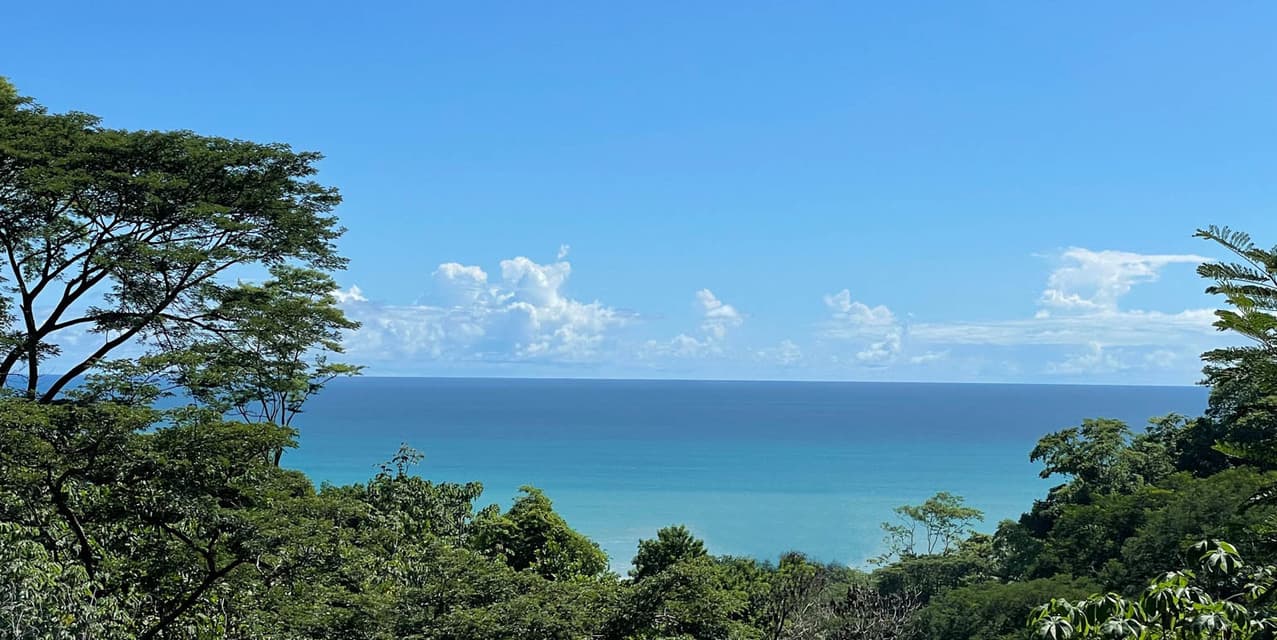 Signature Ocean & Jungle View Homesite in North Santa Teresa — photo
