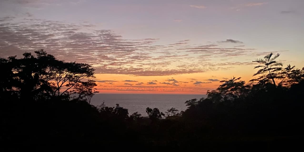 Signature Ocean & Jungle View Homesite in North Santa Teresa — photo